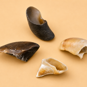 Friandises