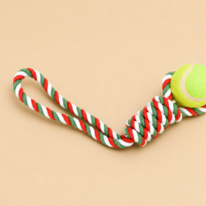 article boutique