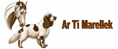 Logo Ar Ti Marellek